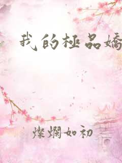 我的极品娇妻