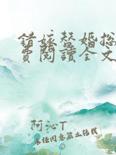 错嫁替婚总裁免费阅读全文