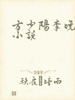 方少阳李晚晴的小说