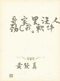 哥家里没人使点劲C我软件