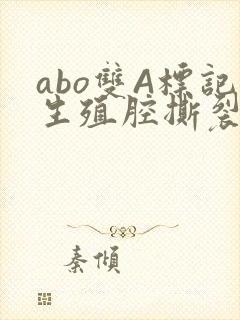 abo双A标记生殖腔撕裂