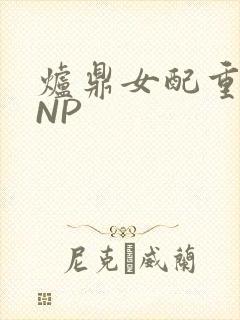 炉鼎女配重生之NP