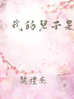 我的儿子是雍正