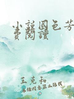 小说国色芳华免费阅读