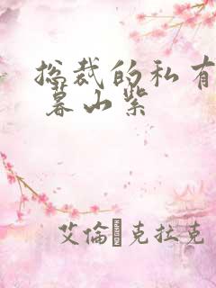 总裁的私有宝贝 暮山紫