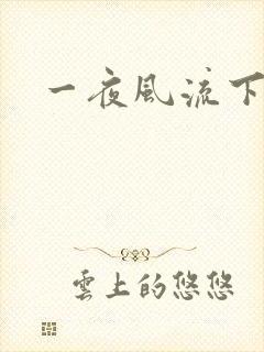 一夜风流下载