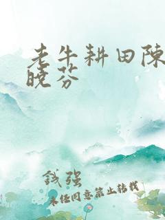 老牛耕田陈雪杨晓芬