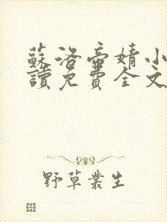 苏洛帝婧小说阅读免费全文最新