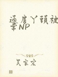 通房丫头被肉日常NP