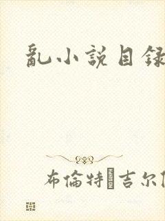 乱小说目录全文