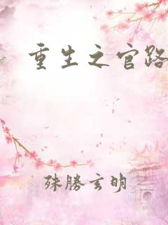 重生之官路情长