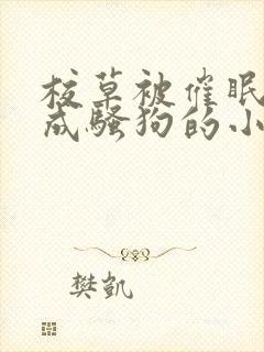 校草被催眠洗脑成骚狗的小说