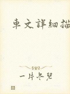 车文详细描写