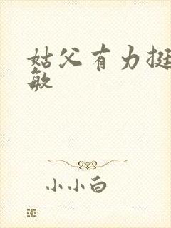 姑父有力挺送赵敏