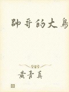 帅哥的大鸟