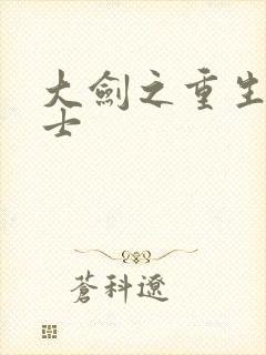 大剑之重生圣骑士