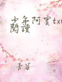 少年阿宾txt阅读