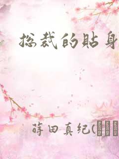 总裁的贴身冷秘