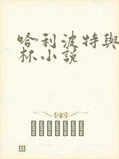 哈利波特与火焰杯小说