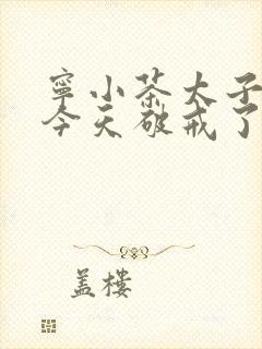 宁小茶太子殿下今天破戒了吗免费阅读