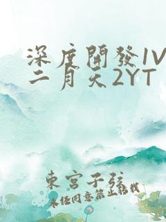 深度开发1V3二月天2YT