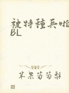 被特种兵啪到哭BL