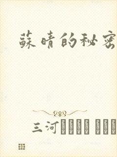 苏晴的秘密小说