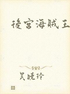后宫海贼王