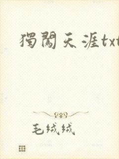 独闯天涯txt