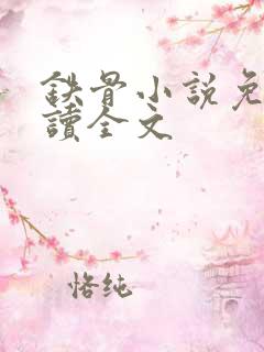 铁骨小说免费阅读全文