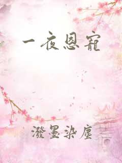 一夜恩宠