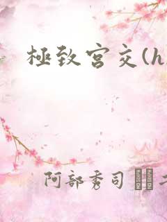 极致宫交(h)