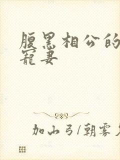 腹黑相公的庶女宠妻