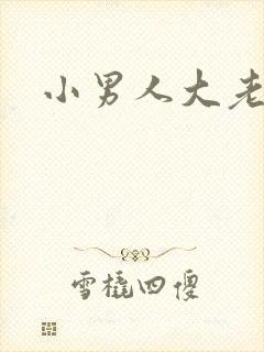小男人大老婆