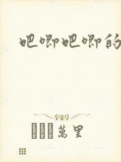 吧唧吧唧的进出