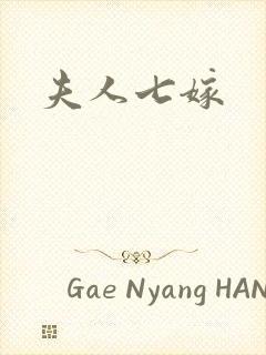 夫人七嫁