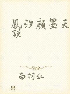 凤汐颜墨天问小说