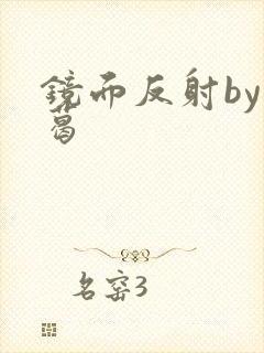 镜面反射by九葛