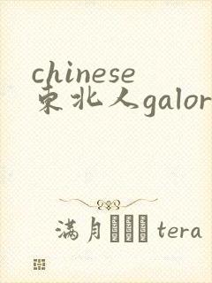 chinese东北人galore