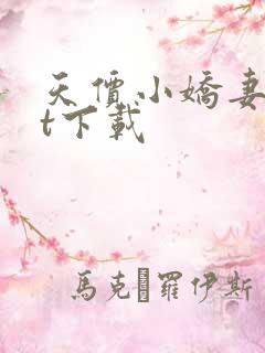 天价小娇妻txt下载