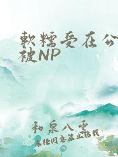 软糯受在公交车被NP