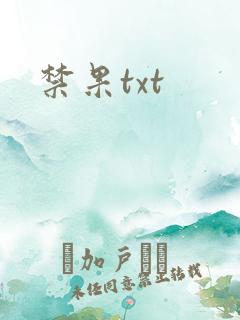 禁果txt