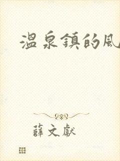 温泉镇的风流事