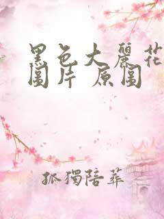 黑色大丽花真实图片 原图