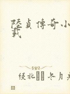 陆贞传奇小说下载