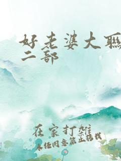 好老婆大联盟第二部