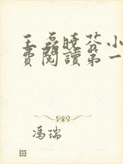 王磊晓芬小说免费阅读第一章