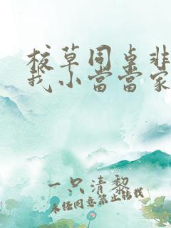 校草同桌非要撩我小当当家