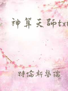 神算天师txt