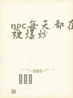 npc每天都在被爆炒